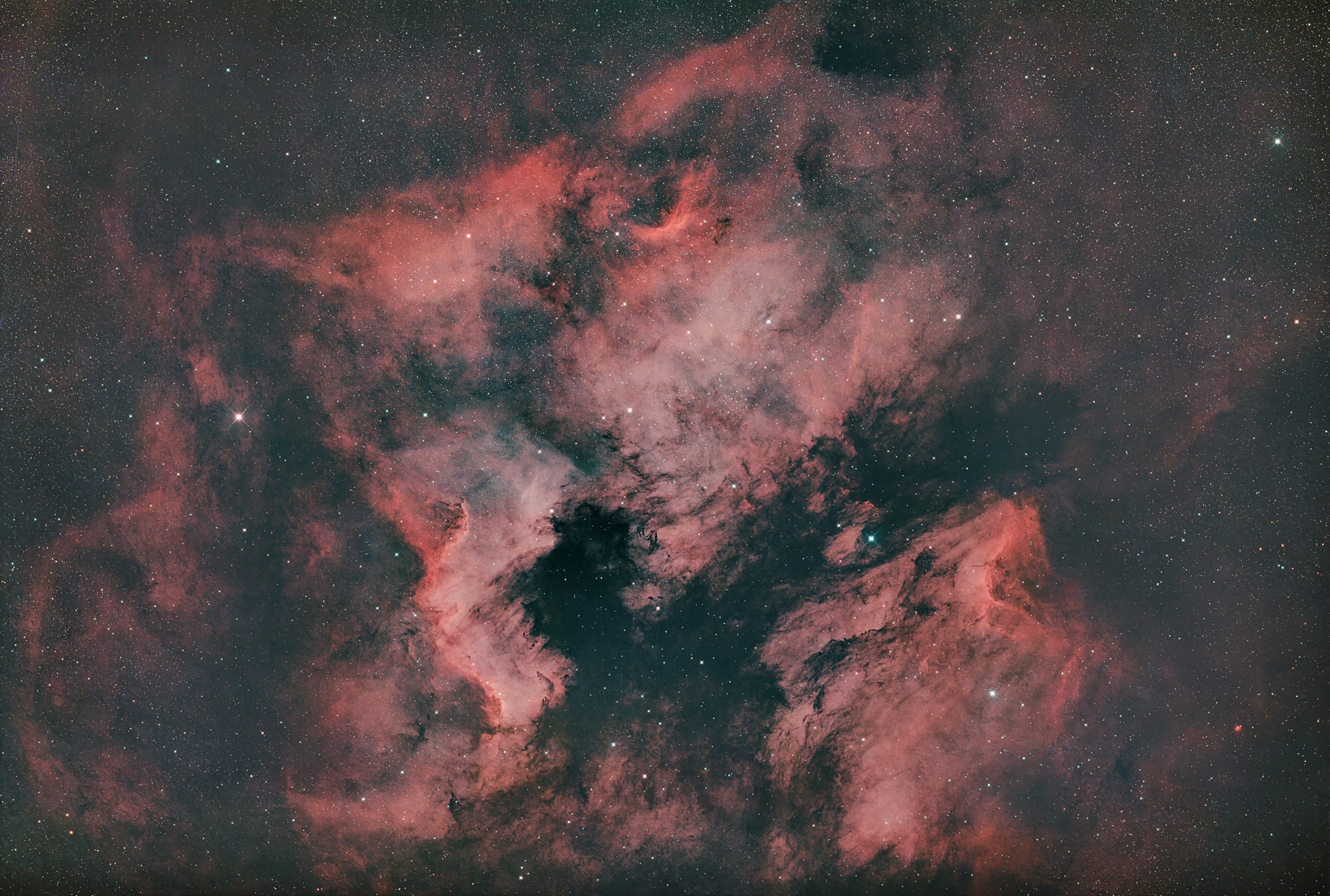 Der Nordamerika-Nebel NGC 7000 und der Pelikan-Nebel IC 5070 sind Emissionsnebel im Sternbild Cygnus in der Nähe von Deneb (der Schwanz des Schwans und sein hellster Stern). Die Form des Nebels ähnelt der des nordamerikanischen Kontinents, komplett mit einem markanten Golf von Mexiko. Oben rechts im Bild ist der Kopf eines Pelikans zu erkennen.